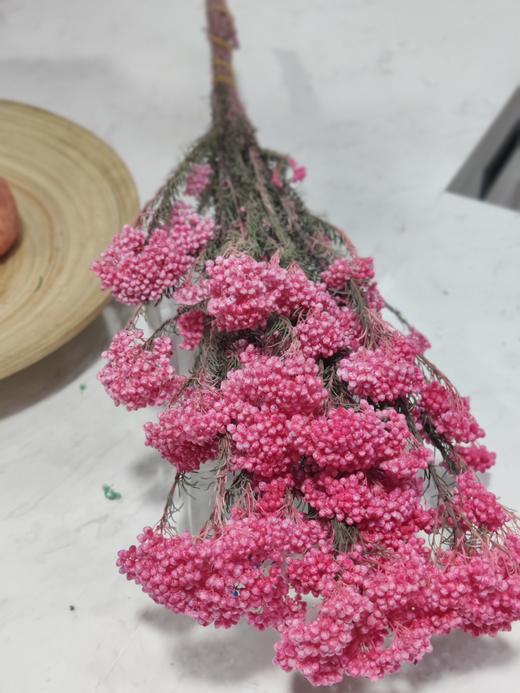 【干花】米花 多色可选 商品图5