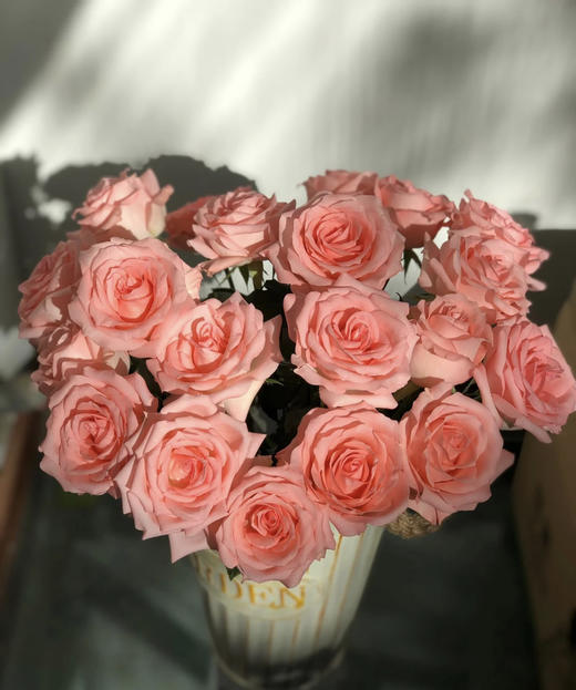 【秒杀福利】南粤推荐-戴安娜  20支/扎 商品图5