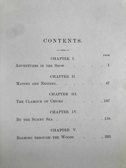 含藏书票！1904年 基尔顿《知更鸟历险记》 120余幅插图 漆布精装32开 商品图5