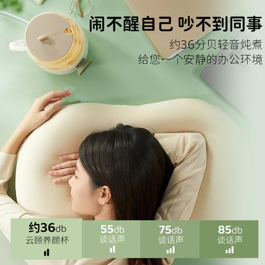 云顾养生电炖杯 商品图1