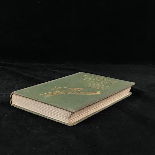 含藏书票！1904年 基尔顿《知更鸟历险记》 120余幅插图 漆布精装32开 商品图1