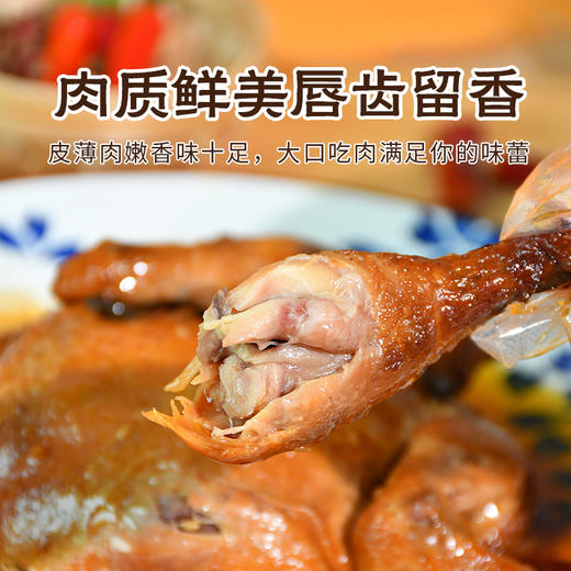 视频号小店-豆逸谷系列特色农副产品新疆拉条子绿豆粉丝本草银耳萝卜干400g 商品图5
