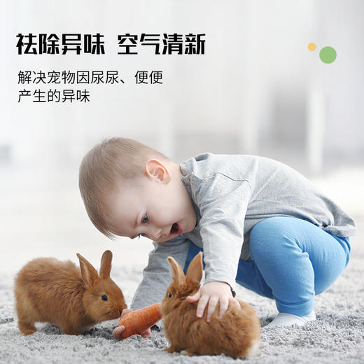 庄辰 宠物卫士 HCLO免洗消毒喷雾 300ml 无需稀释 直接喷洒 亲密接触更安心 商品图2