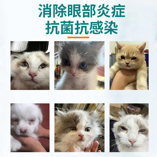 巴士宠新品 目炎灵硫酸新霉素滴眼液8ml角膜炎结膜炎流泪 带兽字药【5送2，10送5】 商品图4