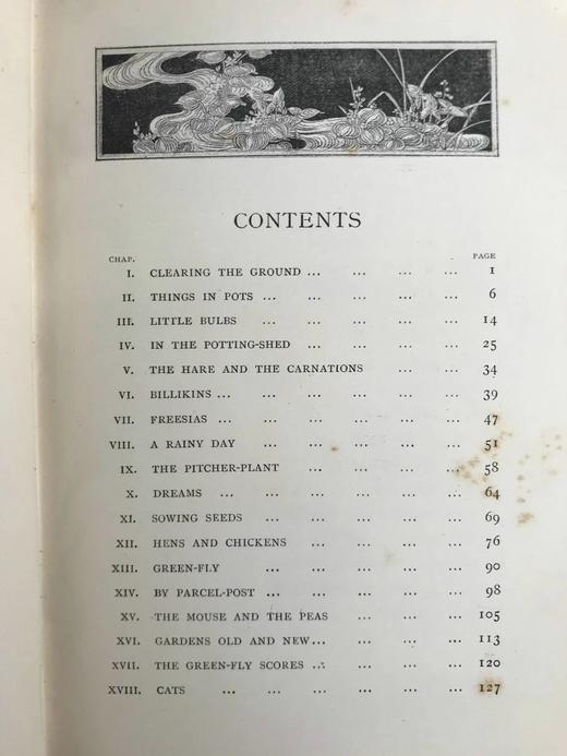 1897年 园艺图鉴 数十幅插图 漆布精装32开 商品图5