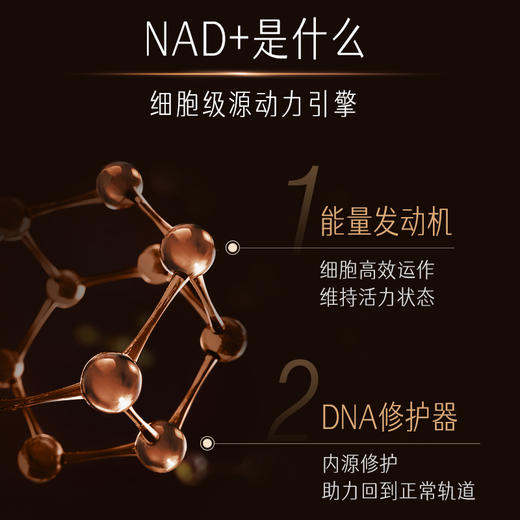 Swisse plus NAD+能量瓶 商品图2