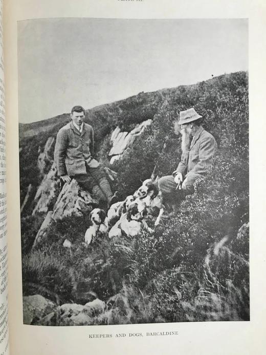 限量500册！含藏书票！1920年 英国鸟类的野外观察 21幅插图 布脊精装16开 商品图9