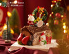 圣诞树干蛋糕1  Christmas tree trunk chocolate 商品缩略图0