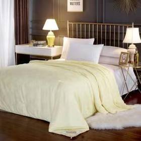 桑蚕丝被纯手工定制，48小时内发货（广东省外不包邮)【龙菲精选X放心甄选】【XLYS】