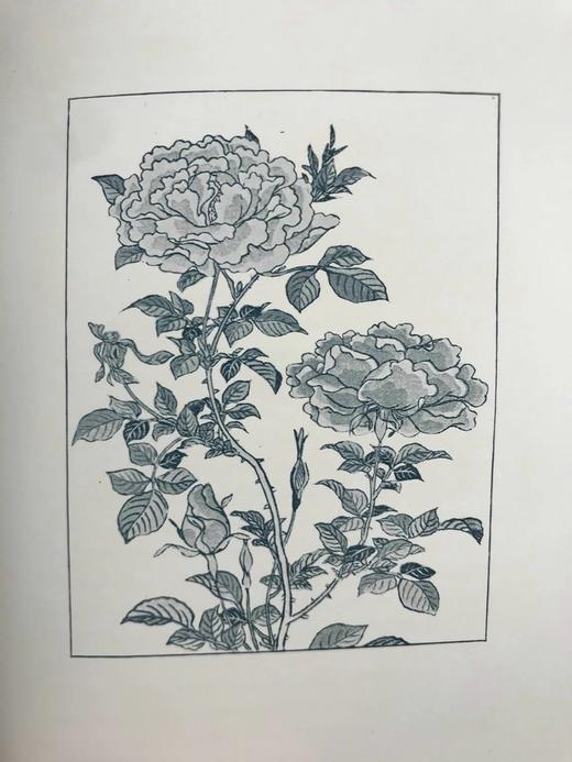 1897年 园艺图鉴 数十幅插图 漆布精装32开 商品图10