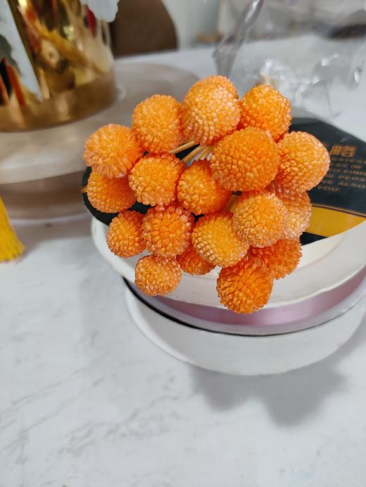 【干花】黄金球 多色可选  20枝 商品图6