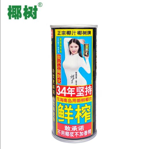 椰树牌椰汁植物蛋白饮料245ml 商品图0