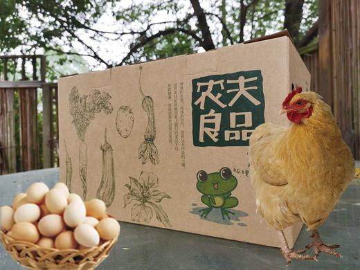 朴愿有机农场 特色蔬菜礼盒 （有机菜+农家菜+土鸡蛋+土鸡） 商品图0