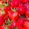 【山东千禧小番茄】圣女果 酸甜多汁 果园直采 不催熟 3斤装 商品缩略图4