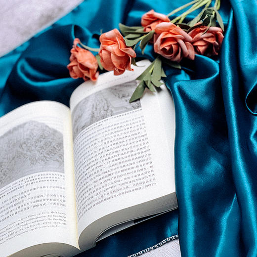 文明世界的战争 诠释战争之谜人类通史 六点图书 剑与犁译丛 商品图9