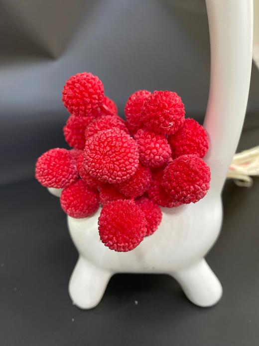 【干花】黄金球 多色可选  20枝 商品图3