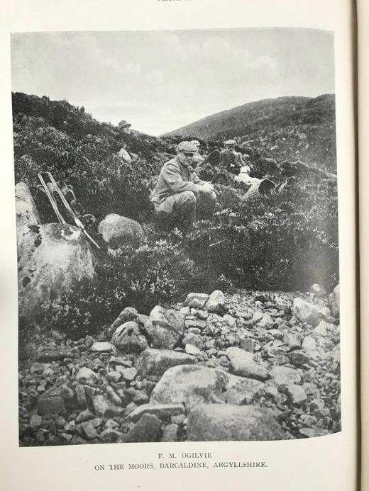 限量500册！含藏书票！1920年 英国鸟类的野外观察 21幅插图 布脊精装16开 商品图10