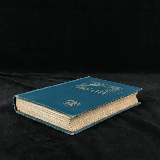 1897年 园艺图鉴 数十幅插图 漆布精装32开 商品图1