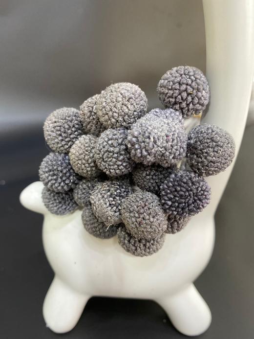 【干花】黄金球 多色可选  20枝 商品图4