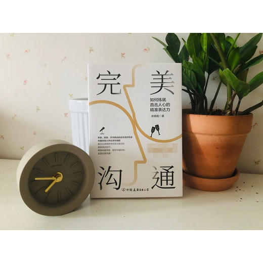 完美沟通 水均益 老梁 文静 尼格买提 马思纯鼎力推荐的沟通艺术 宋晓阳 著 励志与成功 商品图2