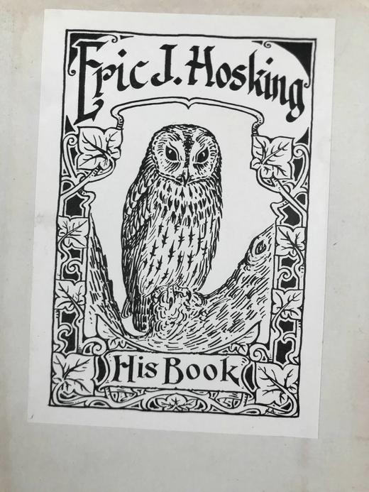 含藏书票！1901年 爱尔兰鸟类手册 3幅插图 漆布精装32开 商品图2