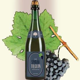 帝尔奎因 西拉兰比克 750ml