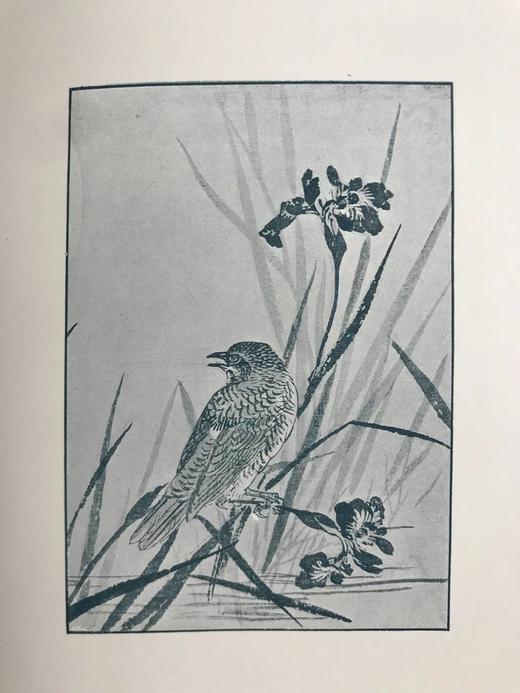 1897年 园艺图鉴 数十幅插图 漆布精装32开 商品图7