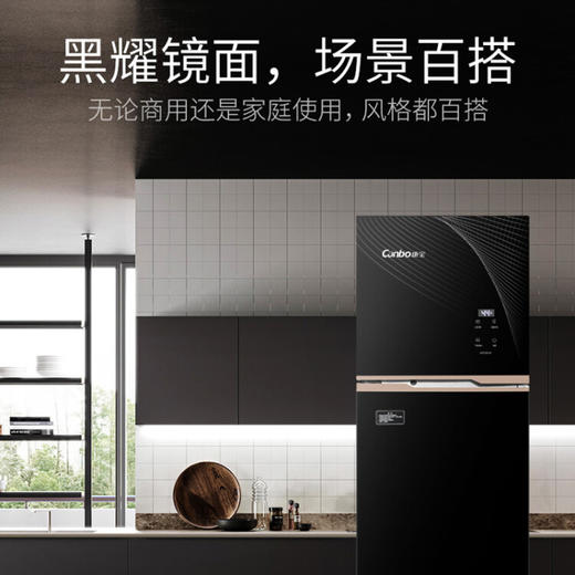 康宝（Canbo）商用消毒柜立式大型消毒柜家用高温商用厨房消毒碗柜大容量双门碗筷高温 XDZ300-DS 商品图1