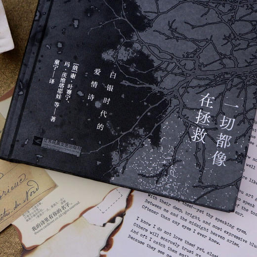 一切都像在拯救 谢·叶塞宁等 著 文学 商品图2
