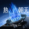 老板（Robam）5.2KW大火力燃气灶 71%热效率 快速定时 可调节安装底座 可拆卸炉头JZT-9B315 商品缩略图5