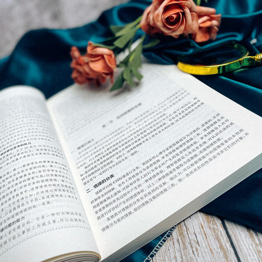 教育心理学 第四版 高等学校心理学专业课教材 燕国材 岑国桢 商品图5