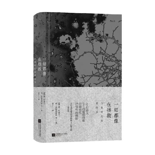 一切都像在拯救 谢·叶塞宁等 著 文学 商品图0