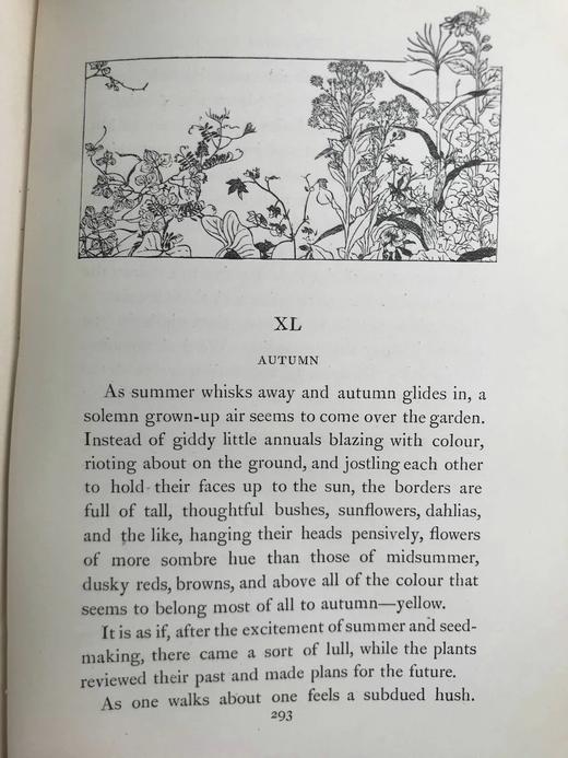 1897年 园艺图鉴 数十幅插图 漆布精装32开 商品图14