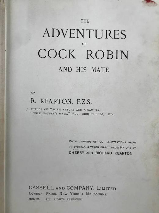 含藏书票！1904年 基尔顿《知更鸟历险记》 120余幅插图 漆布精装32开 商品图4