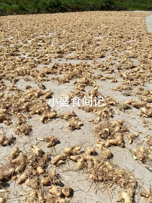 九蒸九晒黄精果 即食250g 商品图7