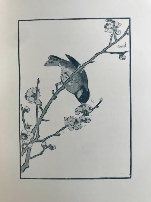 1897年 园艺图鉴 数十幅插图 漆布精装32开 商品图8