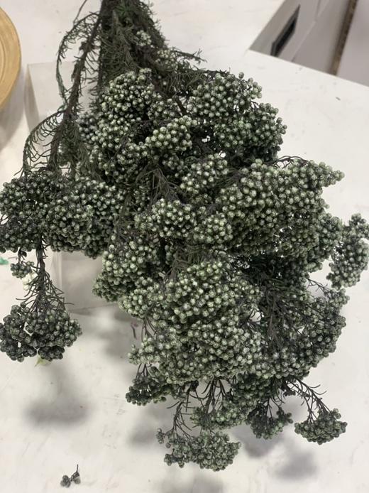 【干花】米花 多色可选 商品图3