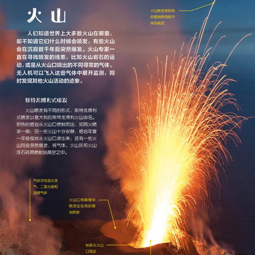 《大英儿童百科全书》 商品图5