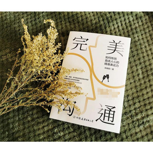 完美沟通 水均益 老梁 文静 尼格买提 马思纯鼎力推荐的沟通艺术 宋晓阳 著 励志与成功 商品图1