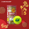 Dunlop邓禄普2023兔年限量珍藏生肖纪念网球（2粒装） 商品缩略图0