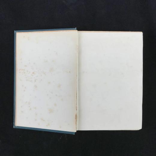 1897年 园艺图鉴 数十幅插图 漆布精装32开 商品图2