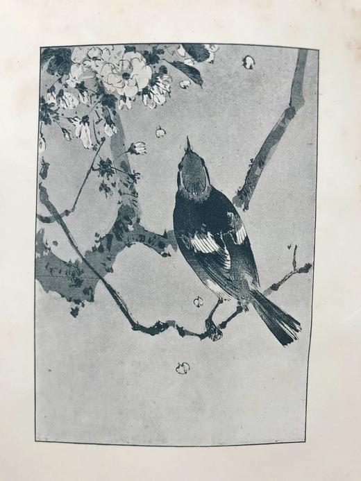 1897年 园艺图鉴 数十幅插图 漆布精装32开 商品图3