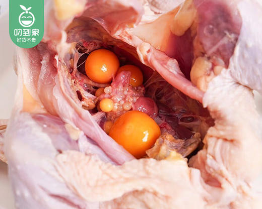 大别山散养老母鸡/1只（950g±50g）生产日期：25年12月 商品图1