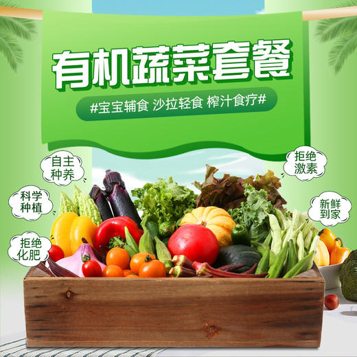 有机蔬菜箱 | 3斤/5斤/7斤 现摘现发农场直发 宅配 当季时蔬 旭耕 商品图1