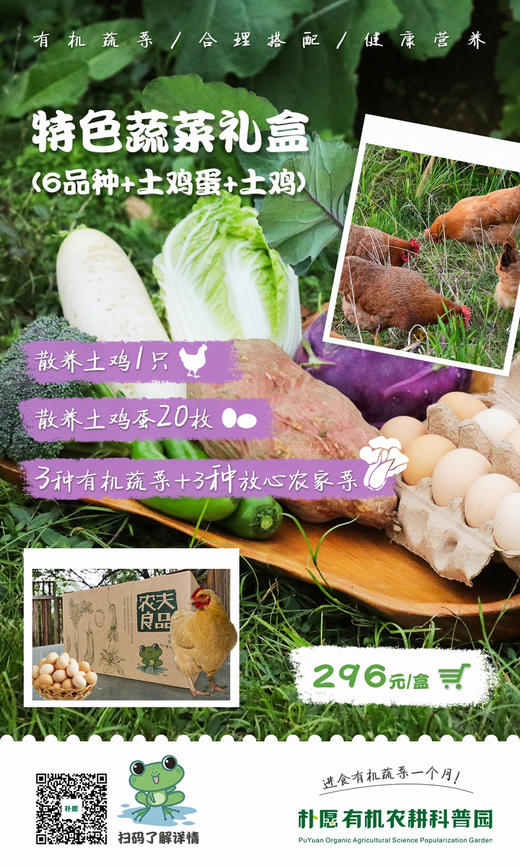 朴愿有机农场 特色蔬菜礼盒 （有机菜+农家菜+土鸡蛋+土鸡） 商品图1