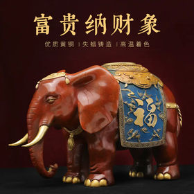 视频│富贵纳财象