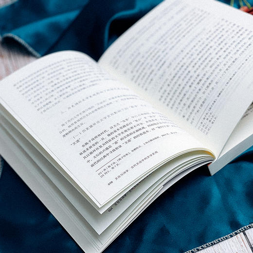 文化与诗学 古代文论中的文学史观 大夏书系 2021年第一辑 总第32辑 商品图12