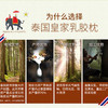 RoyalLatex皇家乳胶枕 商品缩略图4