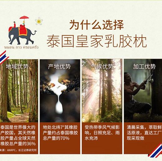 RoyalLatex皇家乳胶枕 商品图4