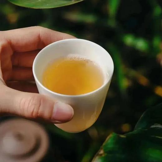 枇杷老白茶丨白居易、苏东坡的心尖甜，秋冬润燥正应时 商品图1